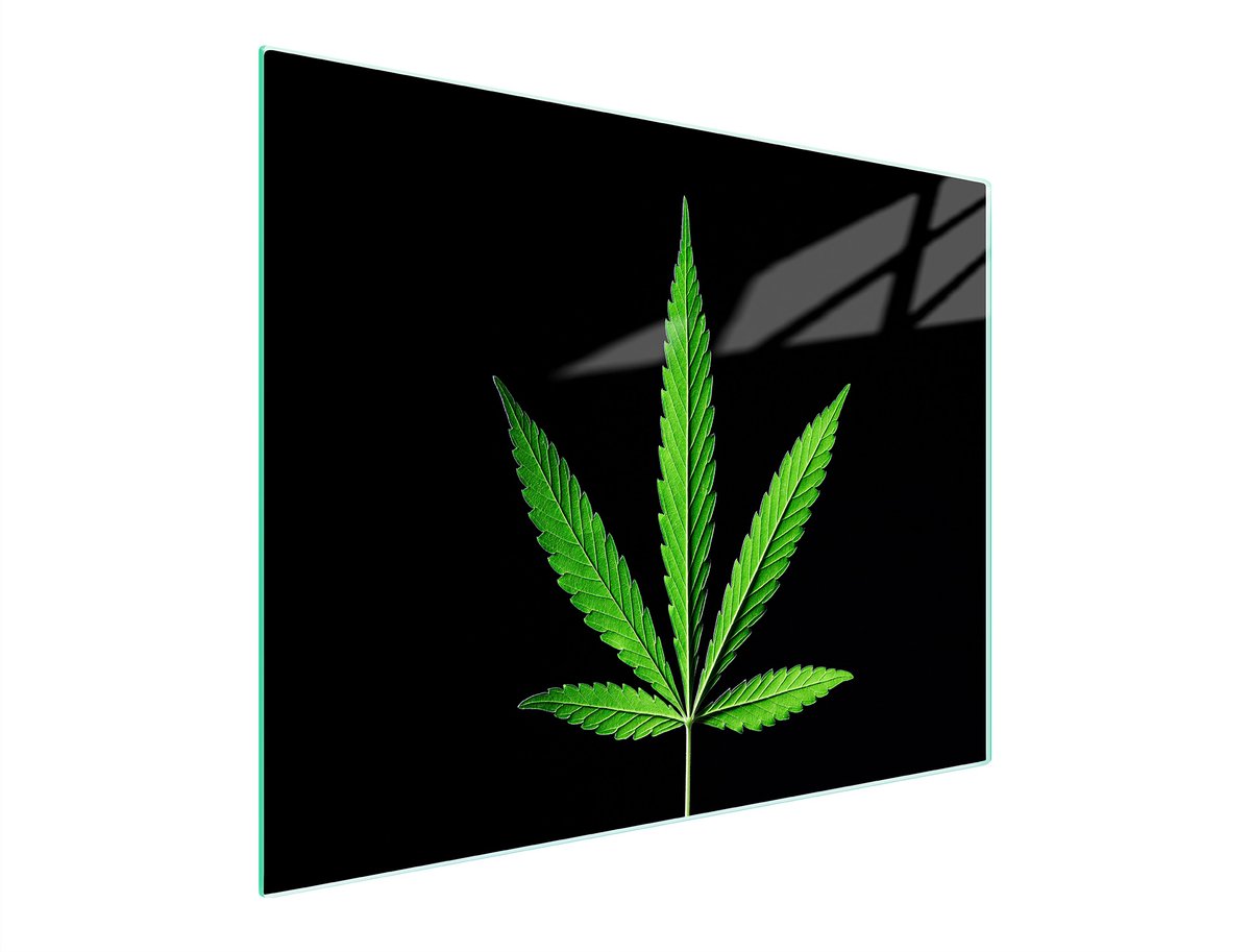 TMK ArtDeko - Snijplank Glas - 52x30 cm - Liść - Veilig
