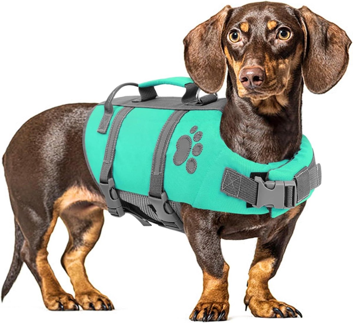 Honden Zwemband - Honden zwemvest - Veilig zwemmen - Snelle reddingsgreep - Maat L - Turquoise