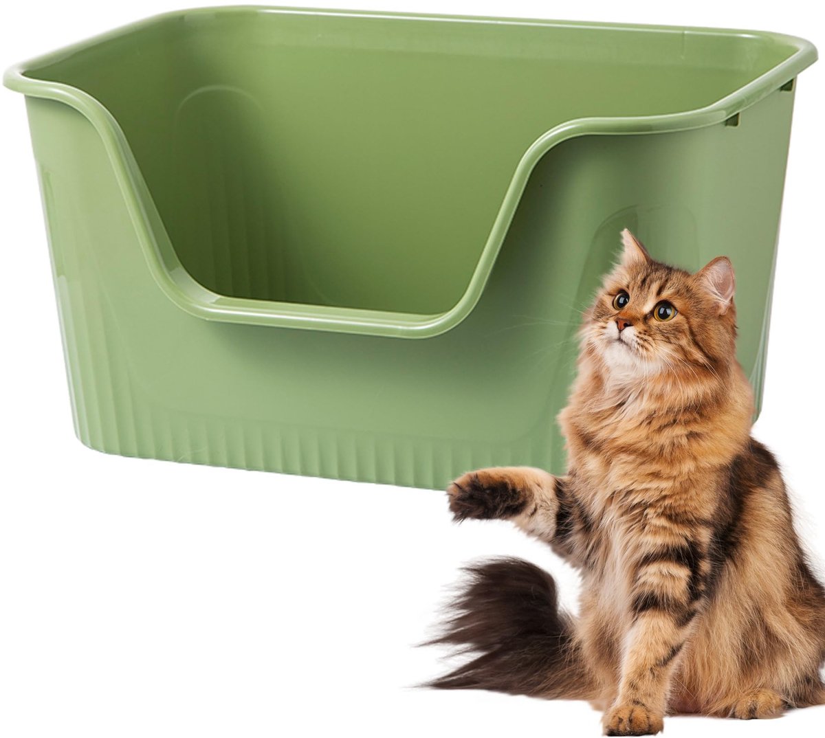 Allecto – Kattenbak – Hoge zijkanten – 100% lekbestendig – Groen – Anti-spatten kattenbak – Geschikt voor katten – M