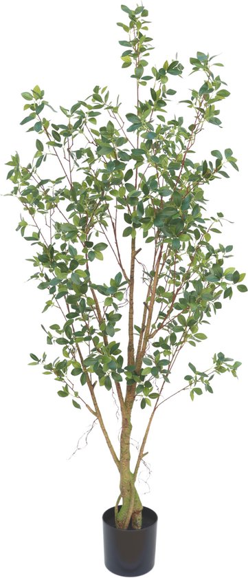 Ficus Plante Artificielle 180cm | Grande plante artificielle pour l'intérieur | Ficus artificiel 180cm | Faux ficus | Arbre artificiel 180cm