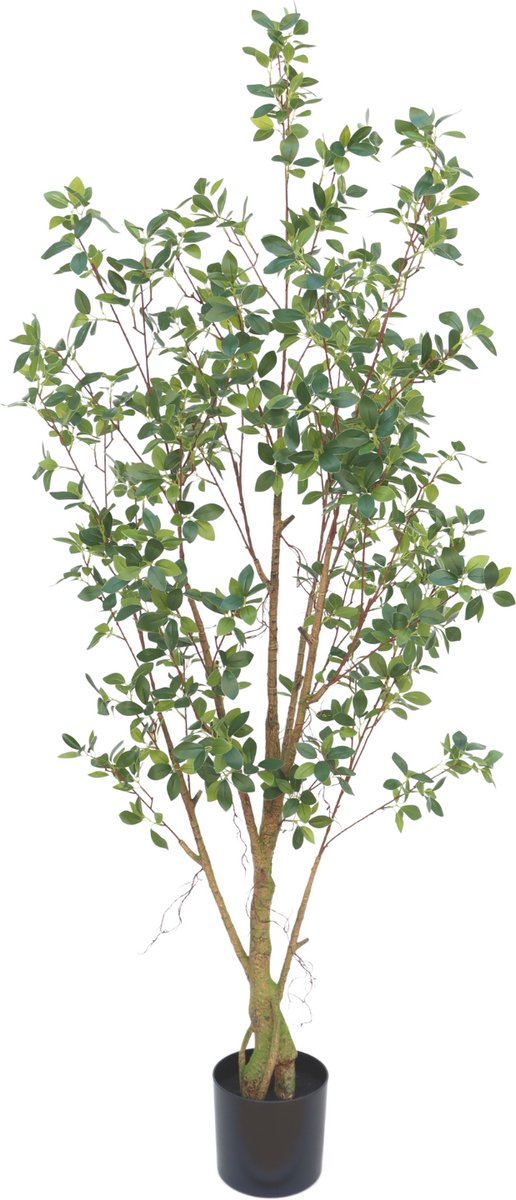 Ficus Kunstplant 180cm | Grote kunstplant voor binnen | Kunst Ficus 180cm | Nep Ficus | Kunstboom 180cm