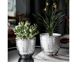 Twee zelfwaterende kamerplantenpotten met drainagegaten, transparante potten, transparante zelfwaterende potten, plantenpotten - moderne bloempotjes, geschikt voor vetplanten