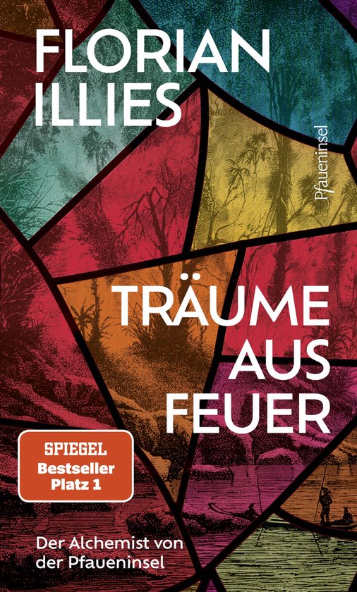 Boekomslag: Florian Illies, Träume aus Feuer. Stained glass design with fire and water landscape.