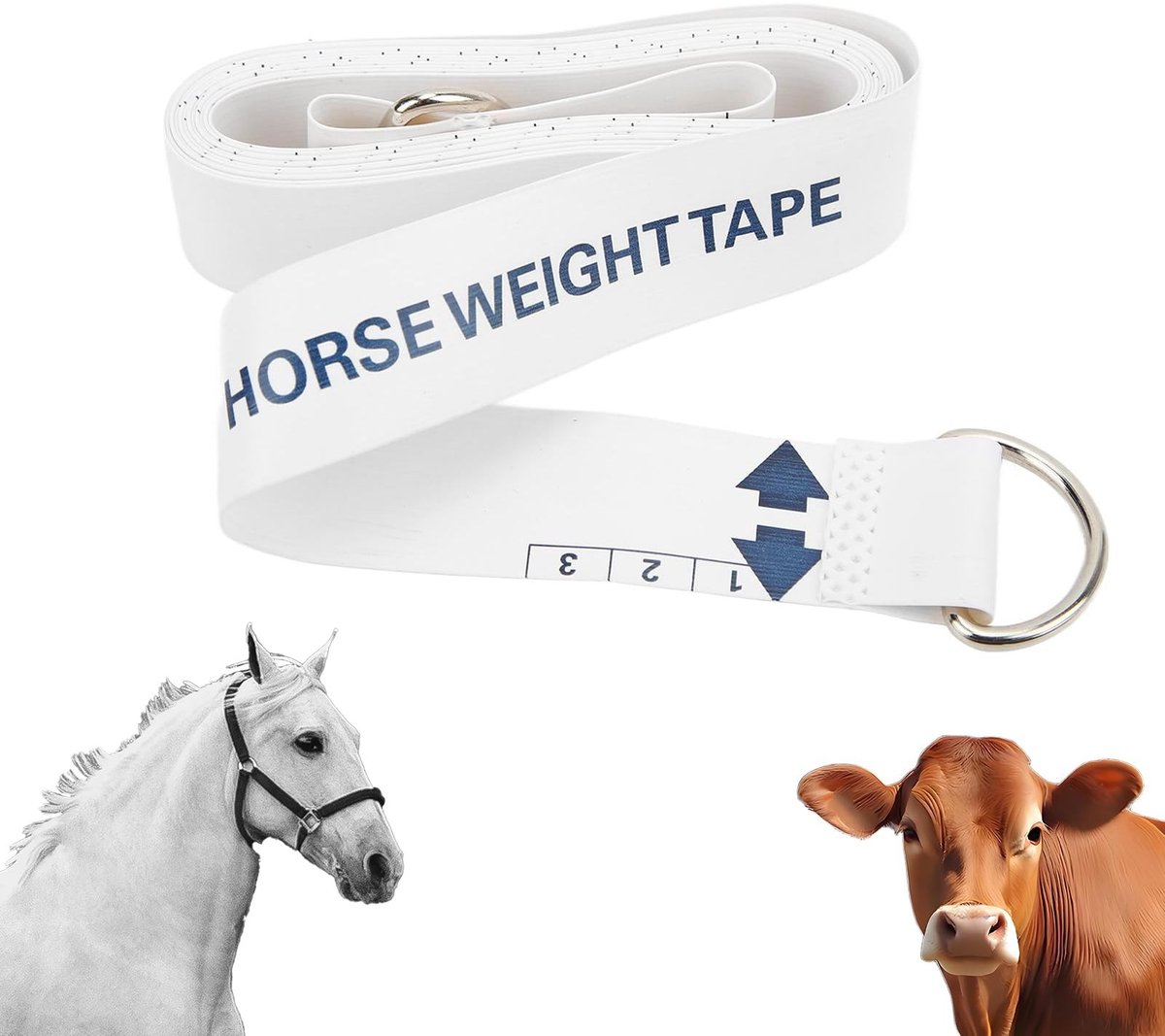 Dailygoods- Meetlint Hoge Nauwkeurigheid - Paardenmeetlint - Omtrekmeter - Dubbele Schaal - Zacht Meetlint - Metalen Gespen