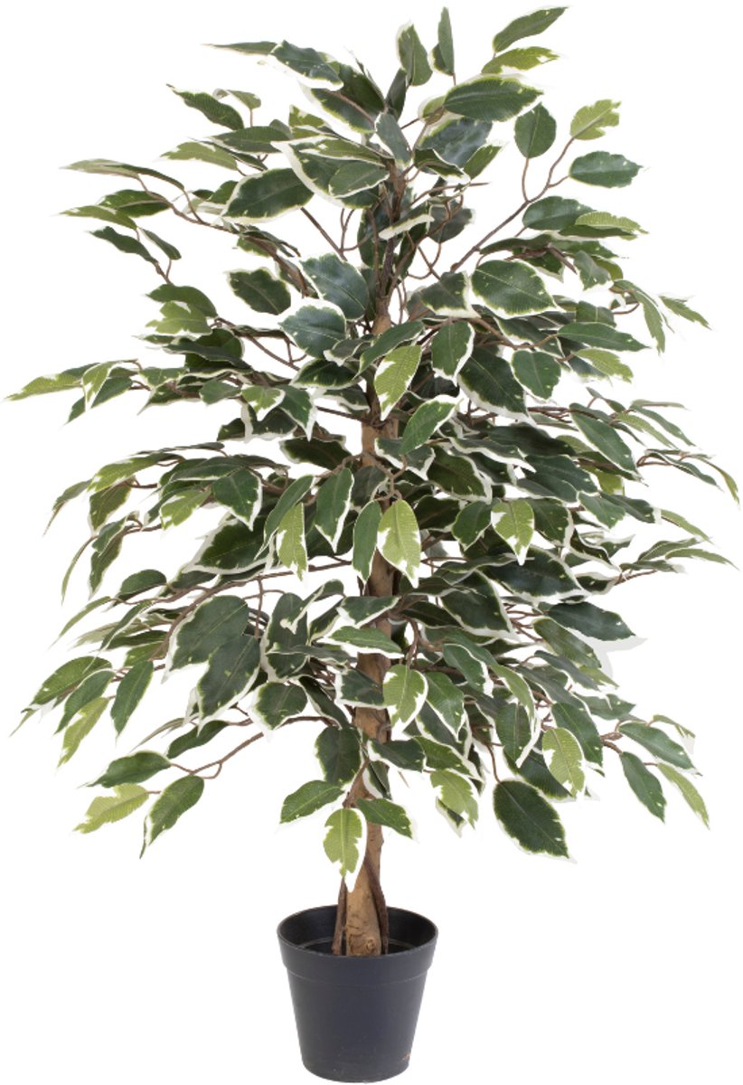 Trendyplants - Kunst Ficus Benjamina Variegata - Bonte Treurvijg - Kunstplant - Hoogte 85cm - Potmaat Ø13cm
