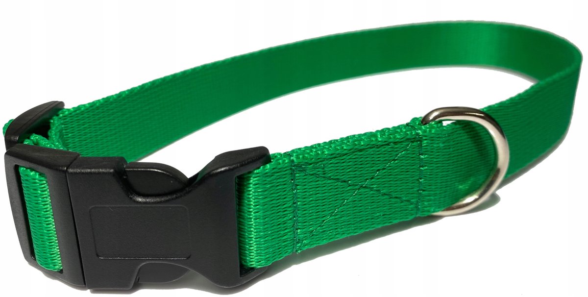 Stevige Hondenlijn 140 cm / 25 mm - Lichtgroen
