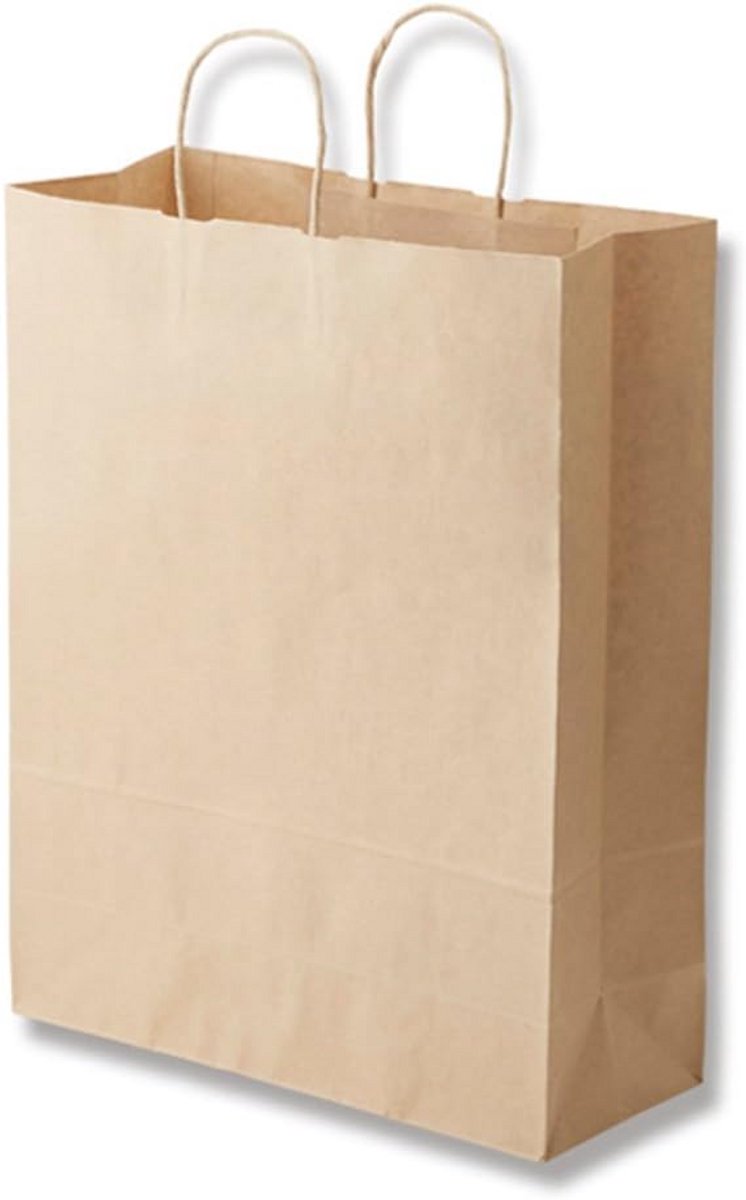 Papieren Draagtas - Cadeautasjes Set - Verpakken Cadeaus - Met Papieren Handvat - 50 Stuks - Ongebleekt