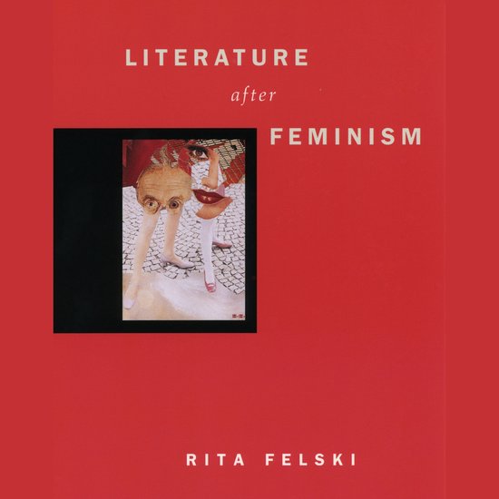 Literature after Feminism - cover