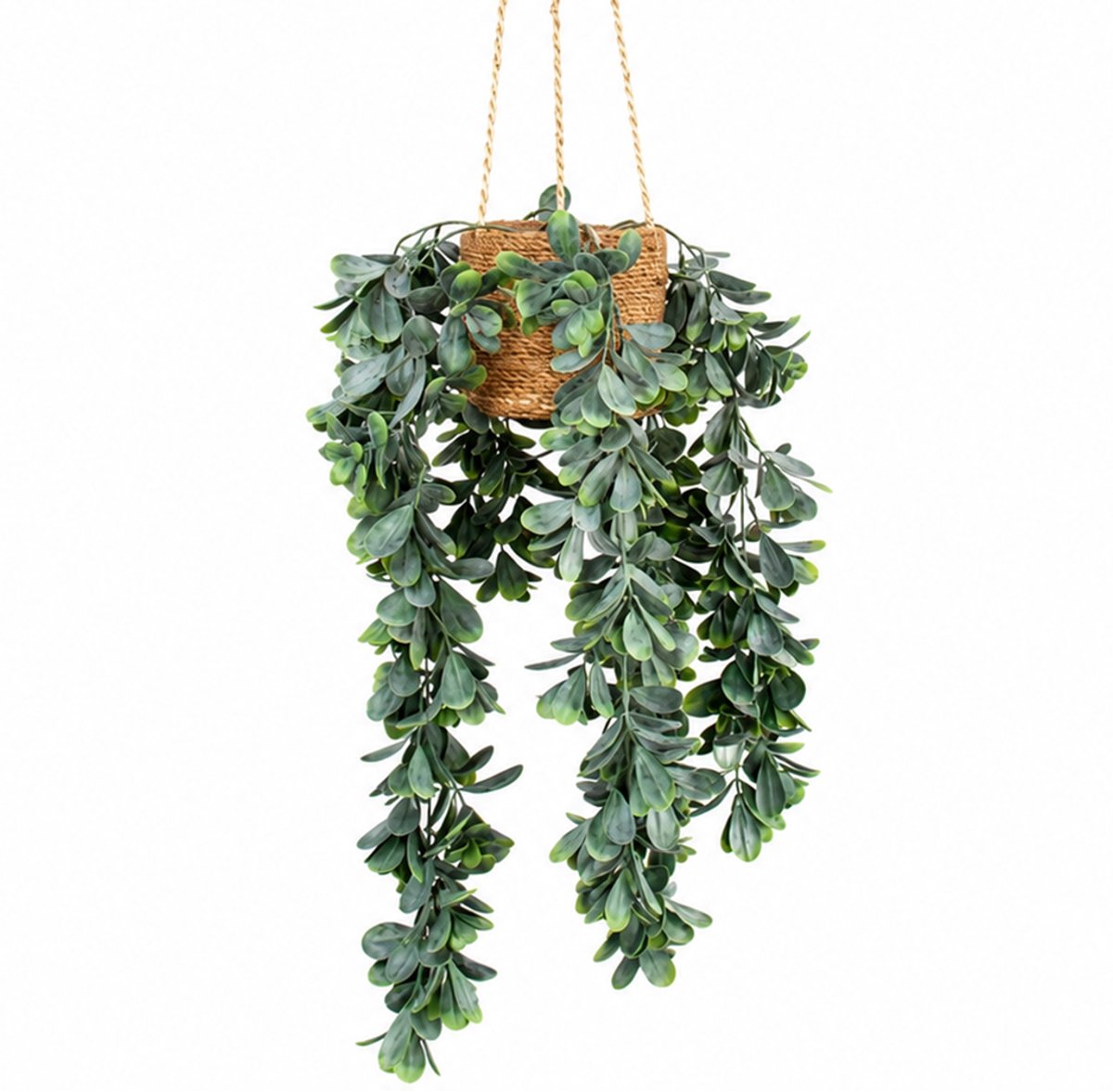 HTT Decorations Kunstplant Crassula in hangmand naturel L140cm