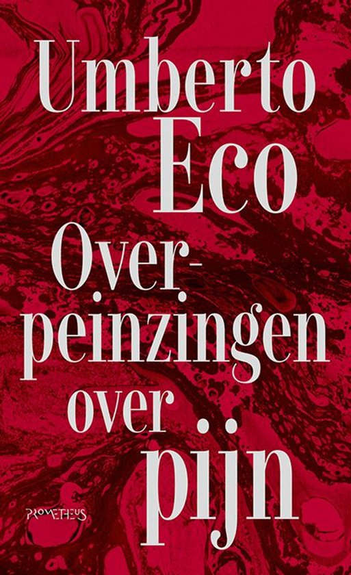 Overpeinzingen over pijn