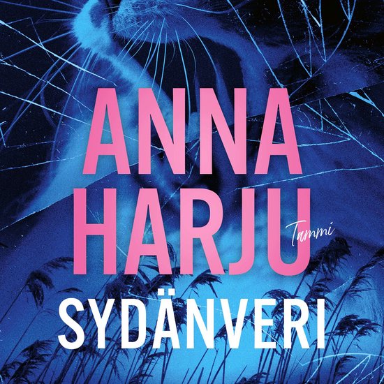 Sydänveri - cover