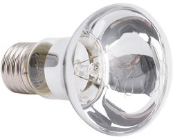 Reptielen Warmtelamp - Spotlamp Terrarium - Dieren Welzijn - Dag Nacht Simulatie - 100 Watt - Glas