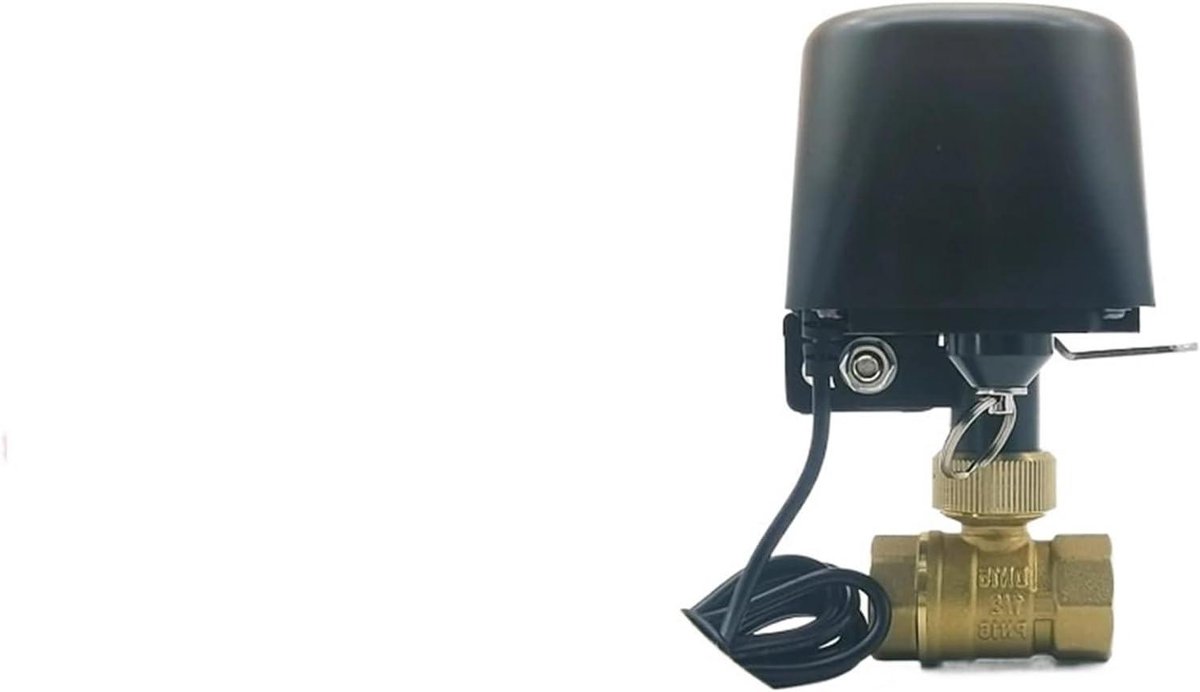 Terugslagklep - Waterstop sensor - Waterlekkage voorkomen - Draadloze bediening - DN15 - Grijs