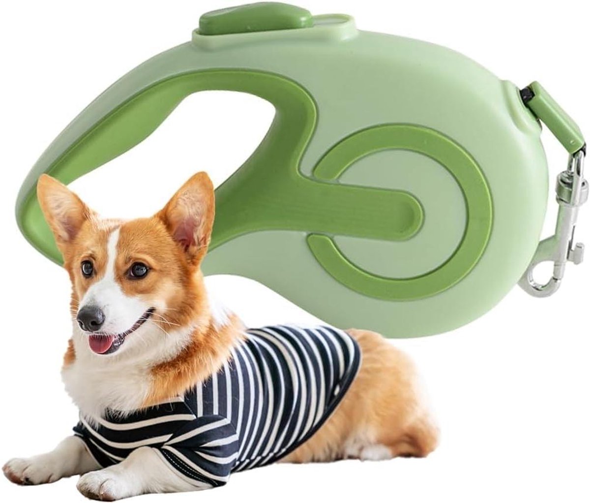 Oprolbare Hondenriem - Flexibele Riem - Veilige Wandelingen - Comfortabel Handvat - 5 Meter - Zwart