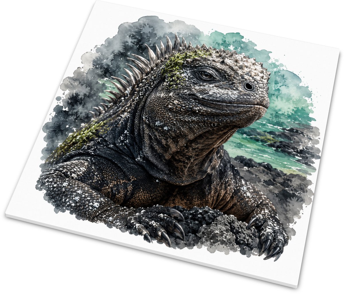 Tegeltje Zeeleguaan Amblyrhynchus cristatus Galápagos Aquarel - Glanzend Wandtegeltje Ruw 