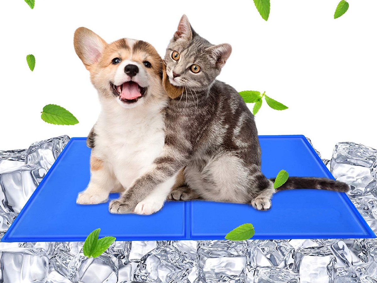 Waterdichte Koelmat voor Hond en Kat 50x40 cm – Zelfkoelende Gel Mat voor Huisdieren – Antislip & Opvouwbaar – Verkoelende Ligmat voor Hond, Kat en Andere Dieren – Reisvriendelijk & Eenvoudig te Reinigen – kattenbed zomer – Blauw – 31569 – foto 6