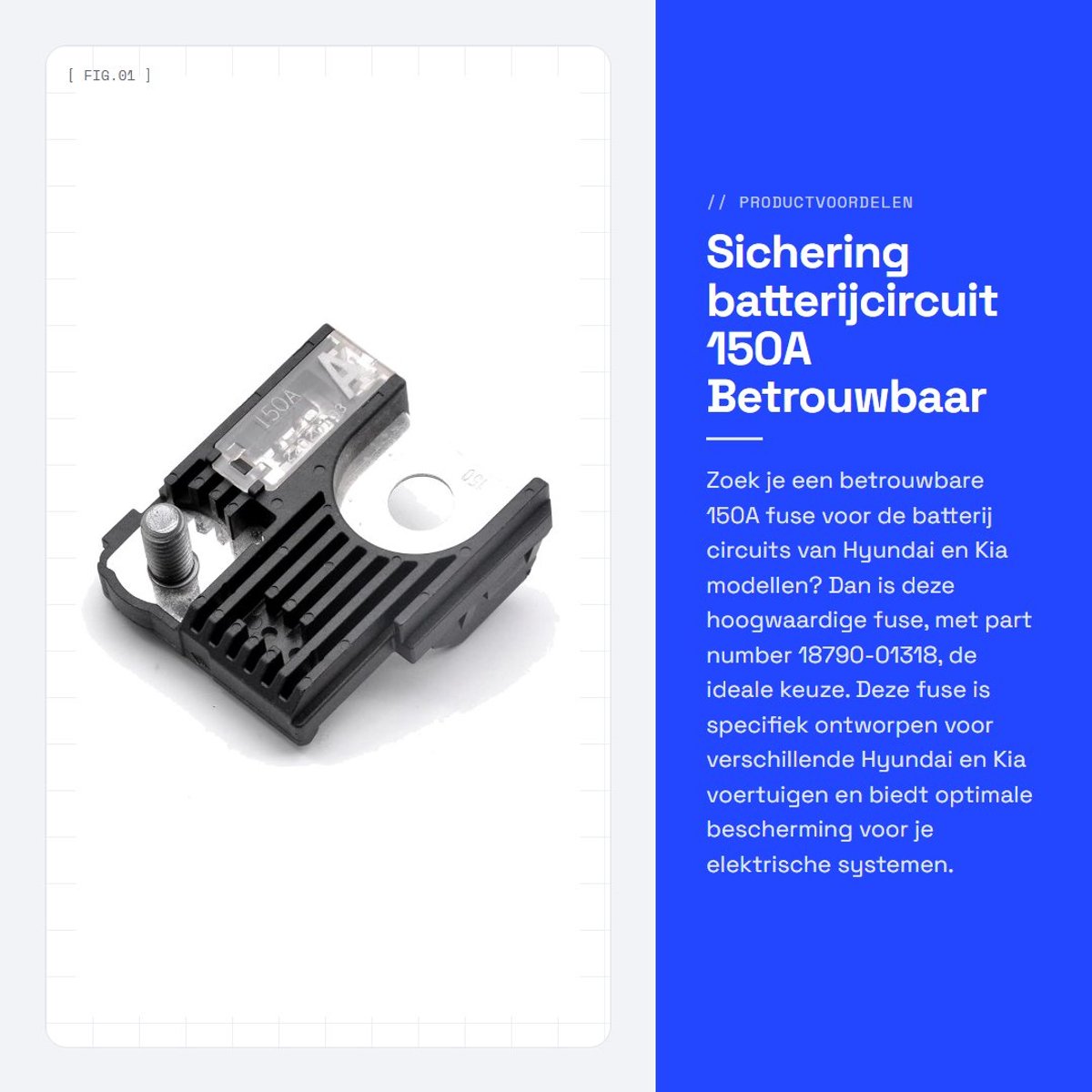 Dailygoods - Sichering batterijcircuit - 150A - Betrouwbaar en veilig - Geschikt voor Hyundai en Kia - Ideaal voor auto-elektronica - Verzekert goede...