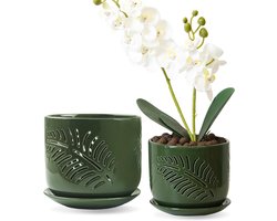 Orchideeënpotten met gaten - Plantenbakken keramiek - Gezonde wortelgroei - Hol ontwerp luchtcirculatie - 2 stuks - Niet gespecificeerd