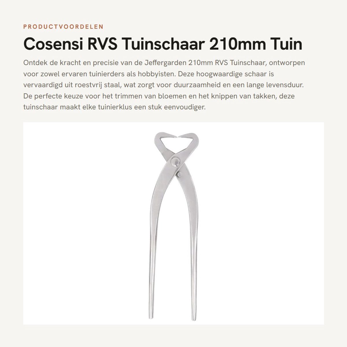 Dailygoods- Tuinschaar Hoogwaardige Roestvrij Stalen - Ergonomische Handgreep - Veiligheidsvergrendeling - Sterke Snijkracht - Anticorrosie - Geschikt voor Bloemen en Takken - Snoeischaar
