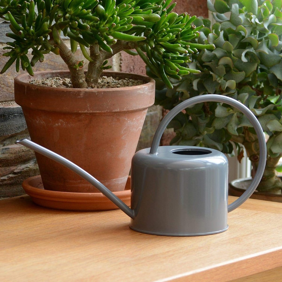Kleine gieter voor binnen 11 l verzinkt staal met poedercoating krijtkleur voor kamerplanten modern design van metaal met smalle uitloop en hoge handgreep (grijs)