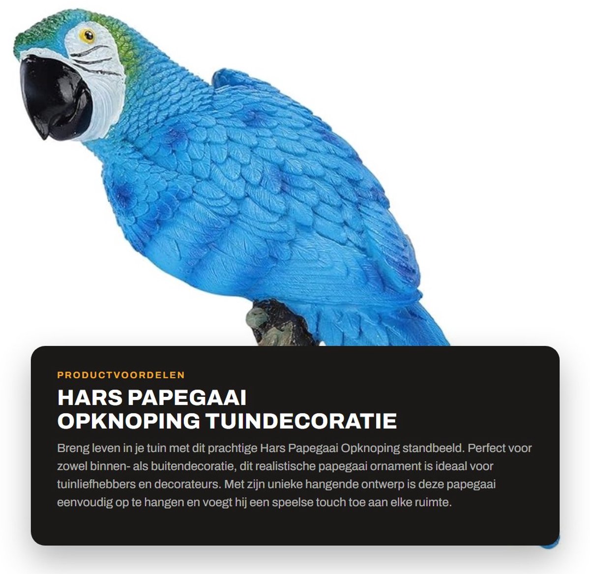 Dailygoods- Papegaai Standbeeld Realistisch - Tuindecoratie - Harsbeeldje - Hangend Ontwerp - Miniatuur Tuinbeeld - Hoogwaardig Materiaal