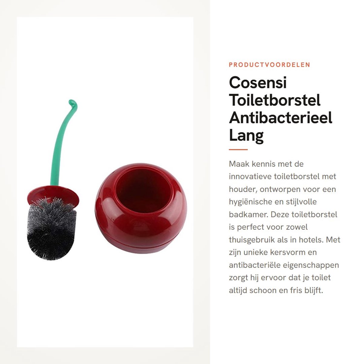 Dailygoods- Toiletborstel Antibacterieel - Toiletborstelhouder - Lange Steel - Rubber Handgreep - Muurbevestiging - Comfortabele Grip - Toiletborstelset