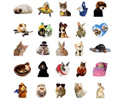 Multikleur stickers set dieren 50 stuks – grappige dieren stickers met humoristische illustraties – transparante pvc plak stickers – decoratieve sticker set voor kinderen en volwassenen