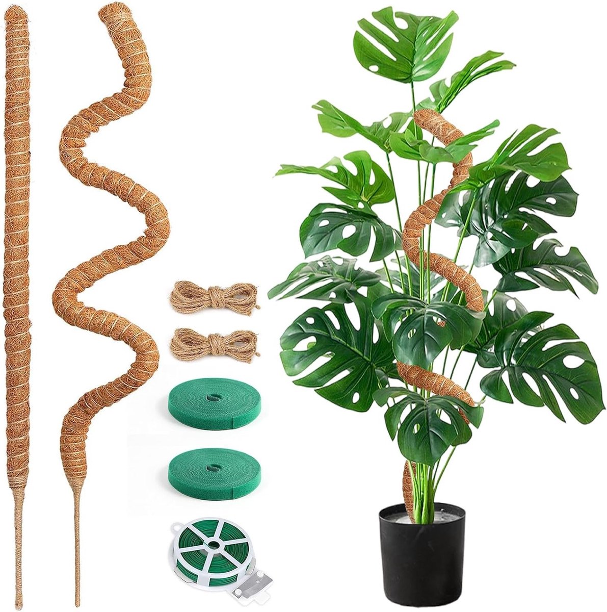 Moss Stick 2 x 75 cm voor Monstera met Accessoires - Plant Support voor Klimplanten en Binnenplanten