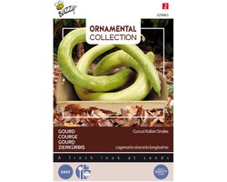 Buzzy  Gourd Italian Edible/Cucuzi