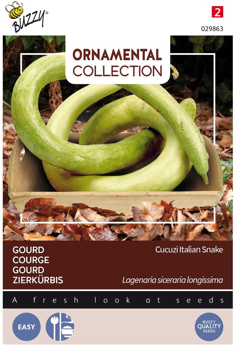 Buzzy  Gourd Italian Edible/Cucuzi
