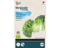 Buzzy Organic Broccoli Belstar F1 (BIO) - biologisch groentezaad
