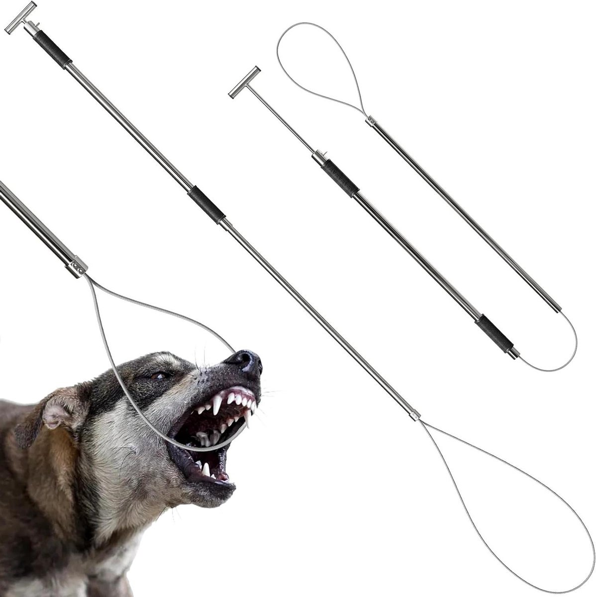 Hond Catcher Pole - Varken Catcher Dier Controle - Dieren Vangen - Roestvrij Staal - 182 cm - Zilver