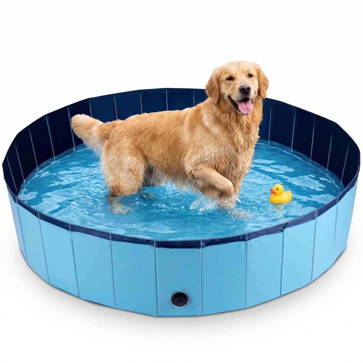 Lomera Hondenzwembad - Hondenbad voor Grote Honden - Robuust met Antislip Bodem - Opvouwbaar - Hondendouche - Verkoeling voor Hond - Waterspeelgoed voor Honden - Dierenzwembad voor in de Tuin - Huisdier Zwembad
