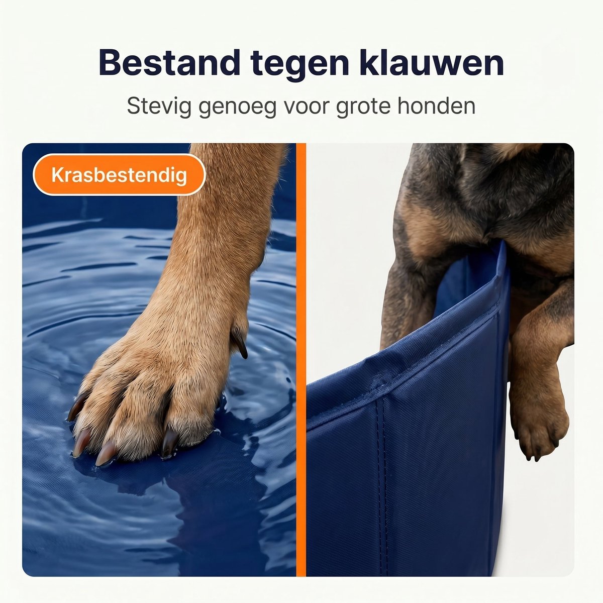 Lomera Hondenzwembad - Hondenbad voor Grote Honden - Robuust met Antislip Bodem - Opvouwbaar - Hondendouche - Verkoeling voor Hond - Waterspeelgoed voor Honden - Dierenzwembad voor in de Tuin - Huisdier Zwembad — afbeelding 6
