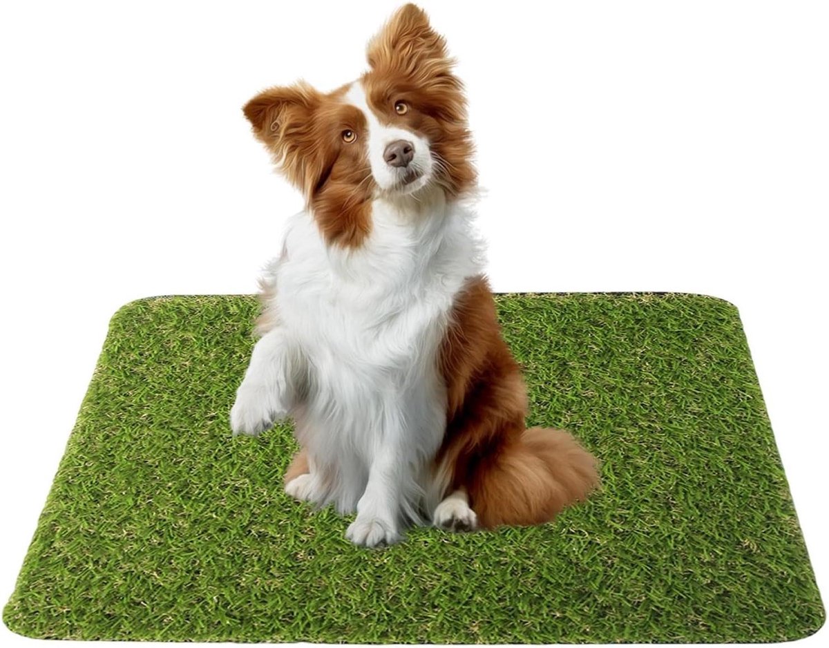 Kunstgras Tapijt Hond - Hondenplasmat Nepgras - Zindelijkheidstraining Hond - Wasbaar en Sneldrogend - 30x30cm of 51.5x40cm - Groen