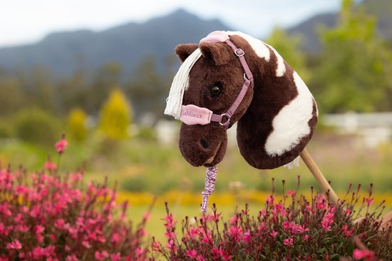 Bruin met witte vlekken hobby horse met roze halster, tussen roze bloemen.