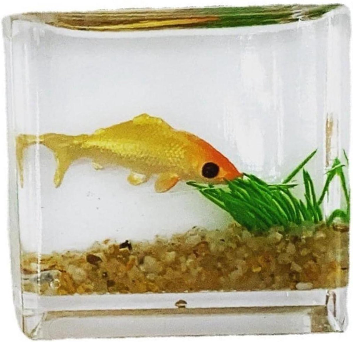 Miniatuur Aquarium - Poppenhuis Vistank - Poppenhuis Inrichten - 1:12 Schaal Model - 5 x 5 x 5 cm - Wit