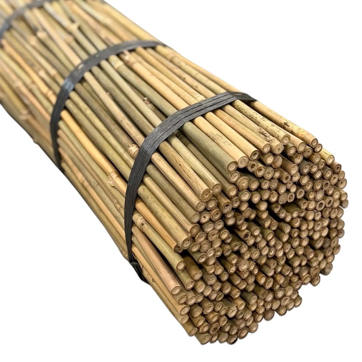 Masters of Bamboo® Bamboestokken Tonkin Ø 10-12 mm - 60 cm - 25 stuks
