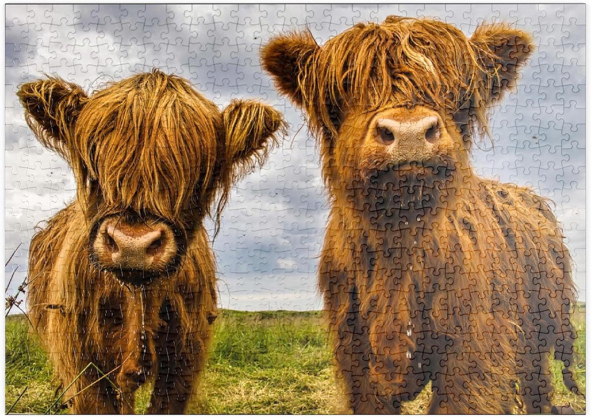 Legpuzzel Koeien - Puzzel Stukjes - Ontspanning Thuis - Hoge Resolutie Print - 500 Stukjes - Natuurlijk