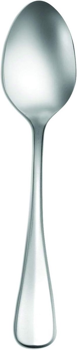 Dessertlepels Set - Ovale Lepels - Tafel Dekken - Eigentijdse Flair - Set van 12