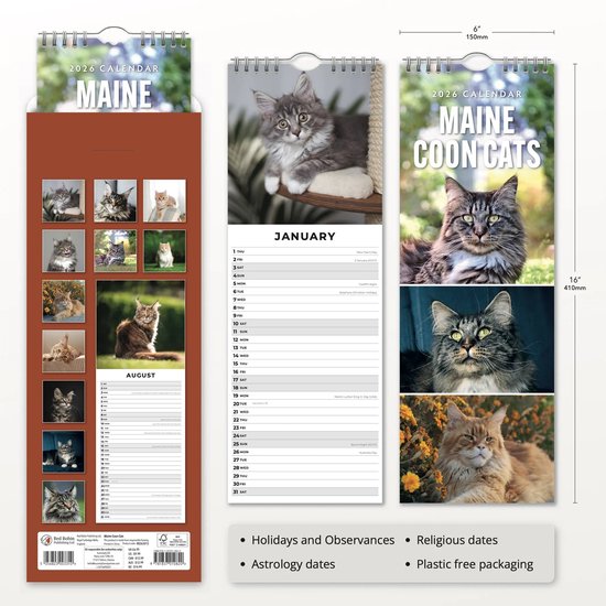 Calendrier Slimline Maine Coon 2026