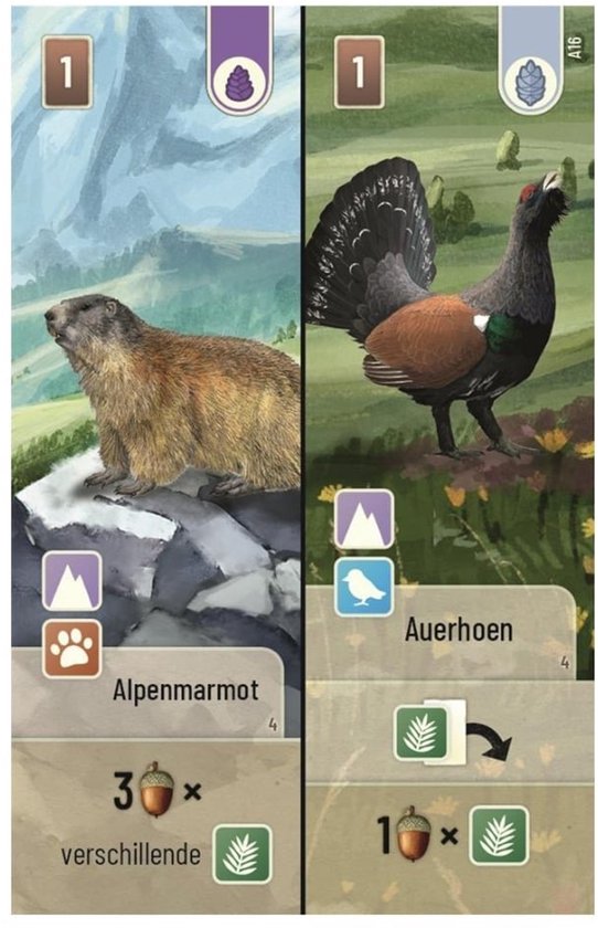 Kaarten met een Alpenmarmot op steen en een Auerhoen tussen bloemen.