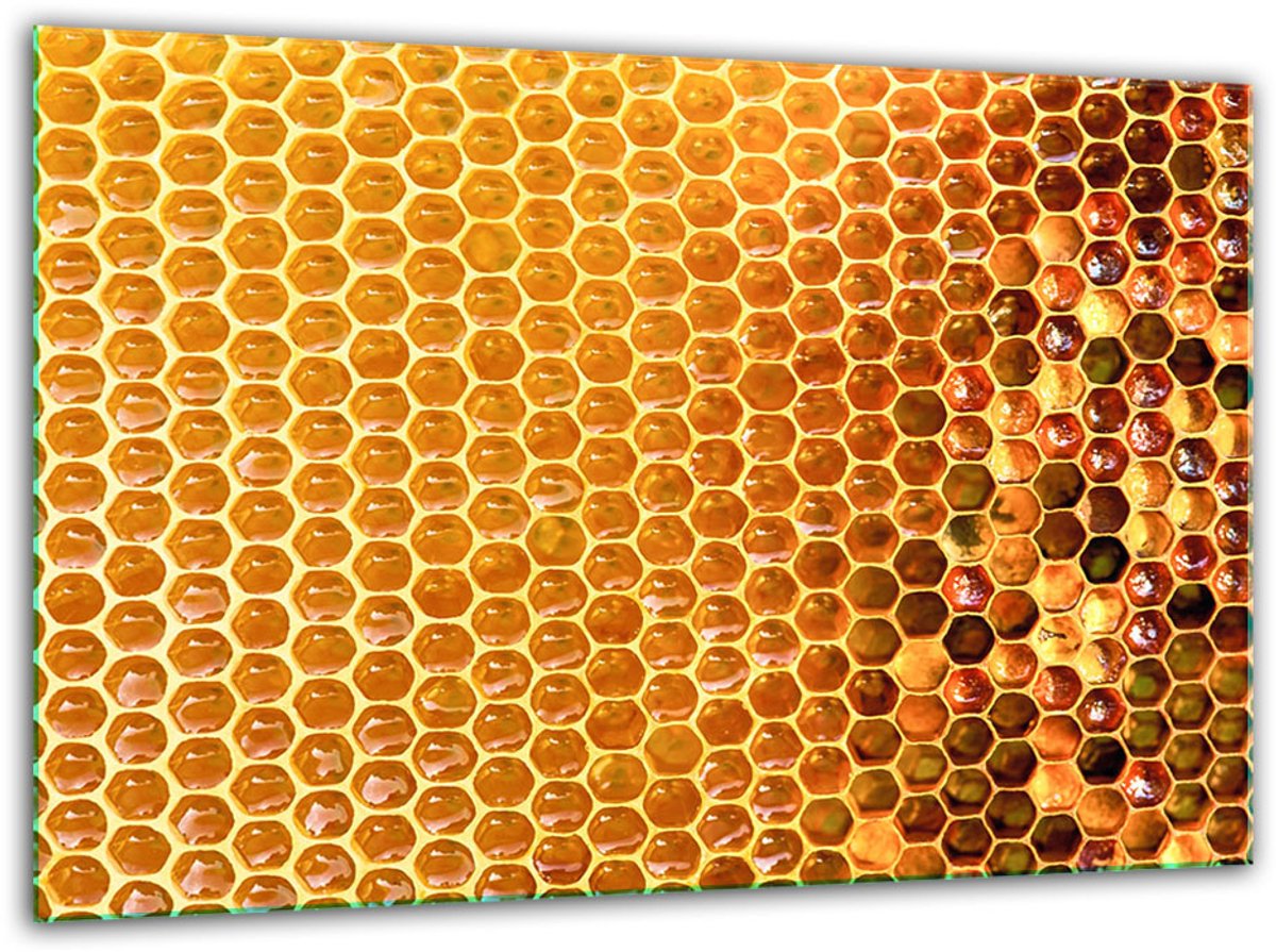 TMK ArtDeko Serie - Gehard Glazen Snijplank - 30x22cm - Hygienisch - Krasbestendig