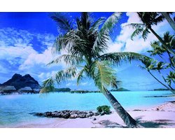 Close Up Bora Bora Island Poster/Tahiti Beach + White Gift Packaging Ready for Giving!