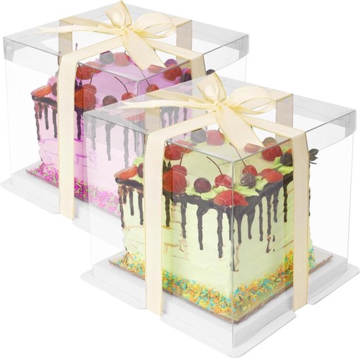 Taartdozen - Transparant - 25 cm - Cake bewaardoos - Voor taarten - Feesten en partijen.