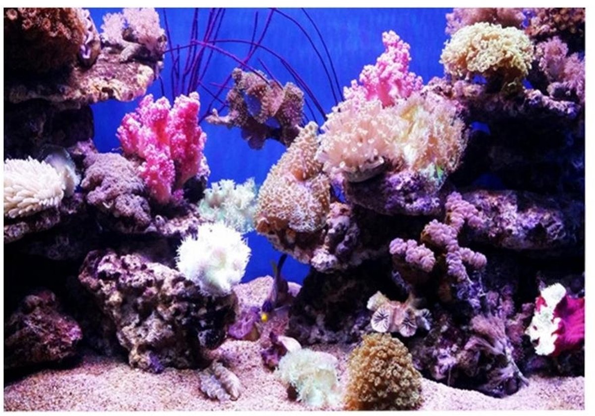 Dailygoody - Aquarium Achtergrond Behang - 3D Effect - Onderwaterwereld Decoratie - Meerkleurig - Sticker voor Aquarium - Hoogwaardig PVC materiaal