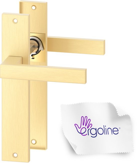 Poignée de porte dorée avec plaque longue et chiffon de polissage ERGO line.