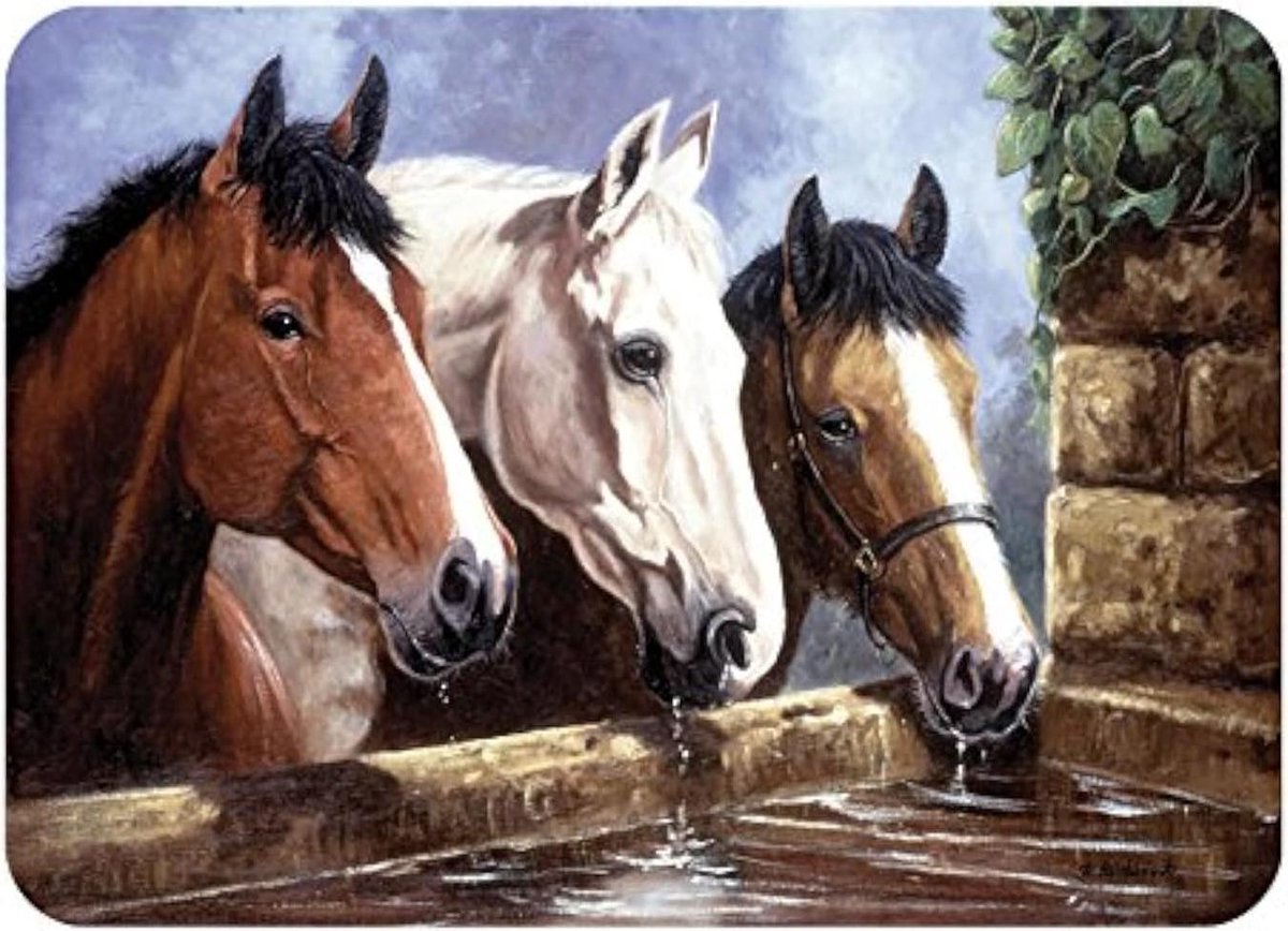 Werkblad Beschermer - Snijplank Mat - Keuken Werk Beschermen - Getextureerd Oppervlak - 40 x 30 cm - Paarden Print
