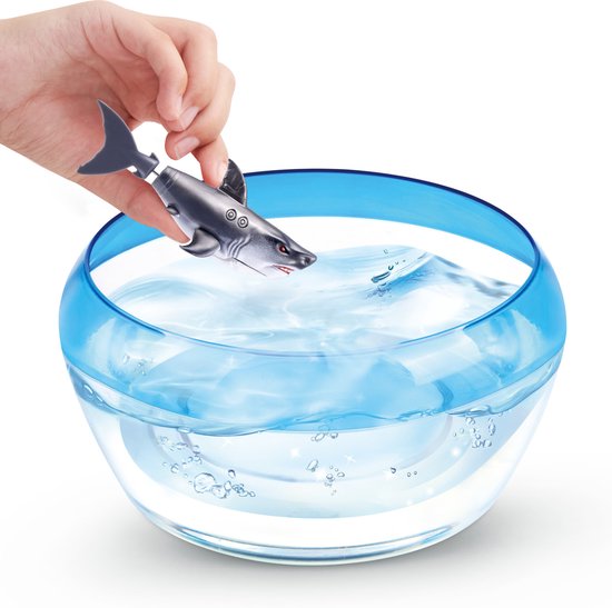 Hand plaatst grijze Robo Alive haai met rode ogen in een kom met blauw, bubbelend water.