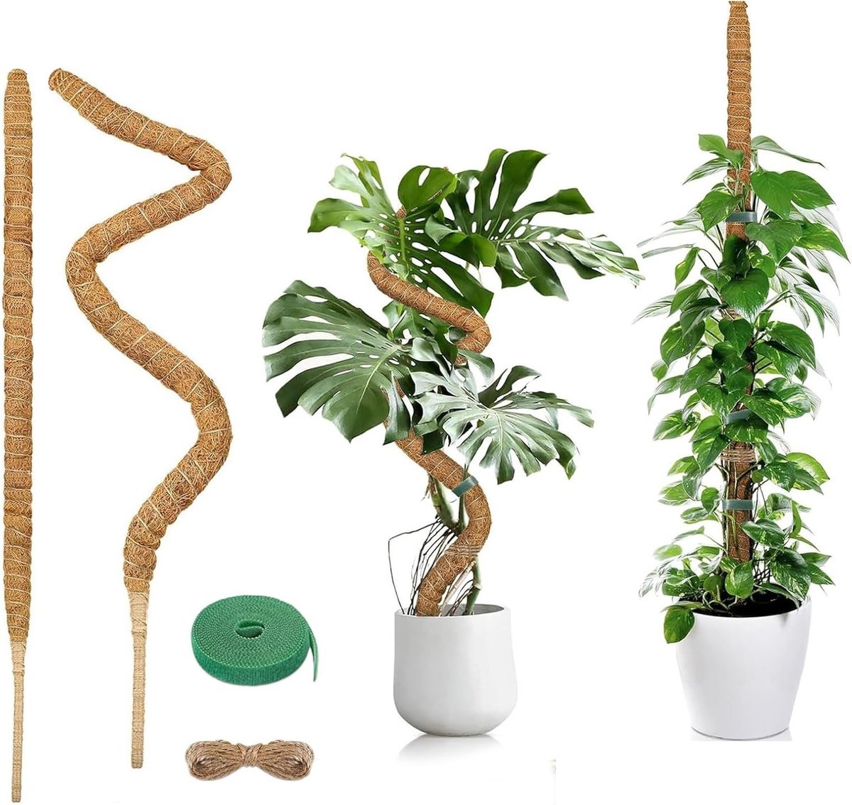 Moss Pole Set van 2 Stuks, 60 cm Vouwbare Plant Steun van Kokosvezel voor Klimplanten zoals Monstera en Pothos